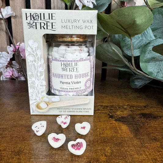 Mini Melting Pot-Parma Violet