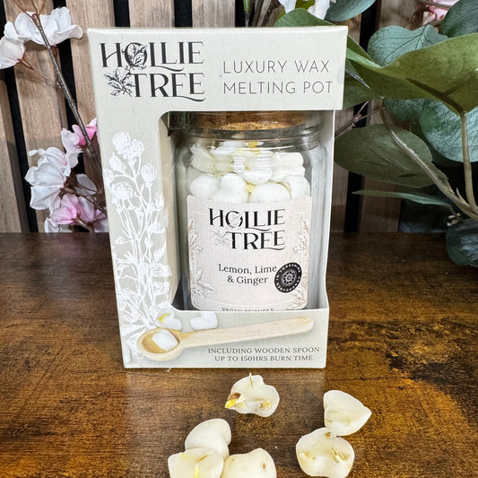 Mini Melting Pot-Lemon, Lime & Ginger